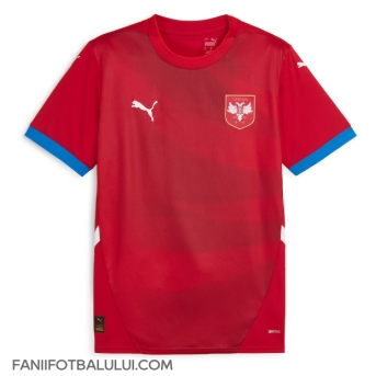 Serbia Tricou Fotbal Replică European 2024 Barbati Acasa